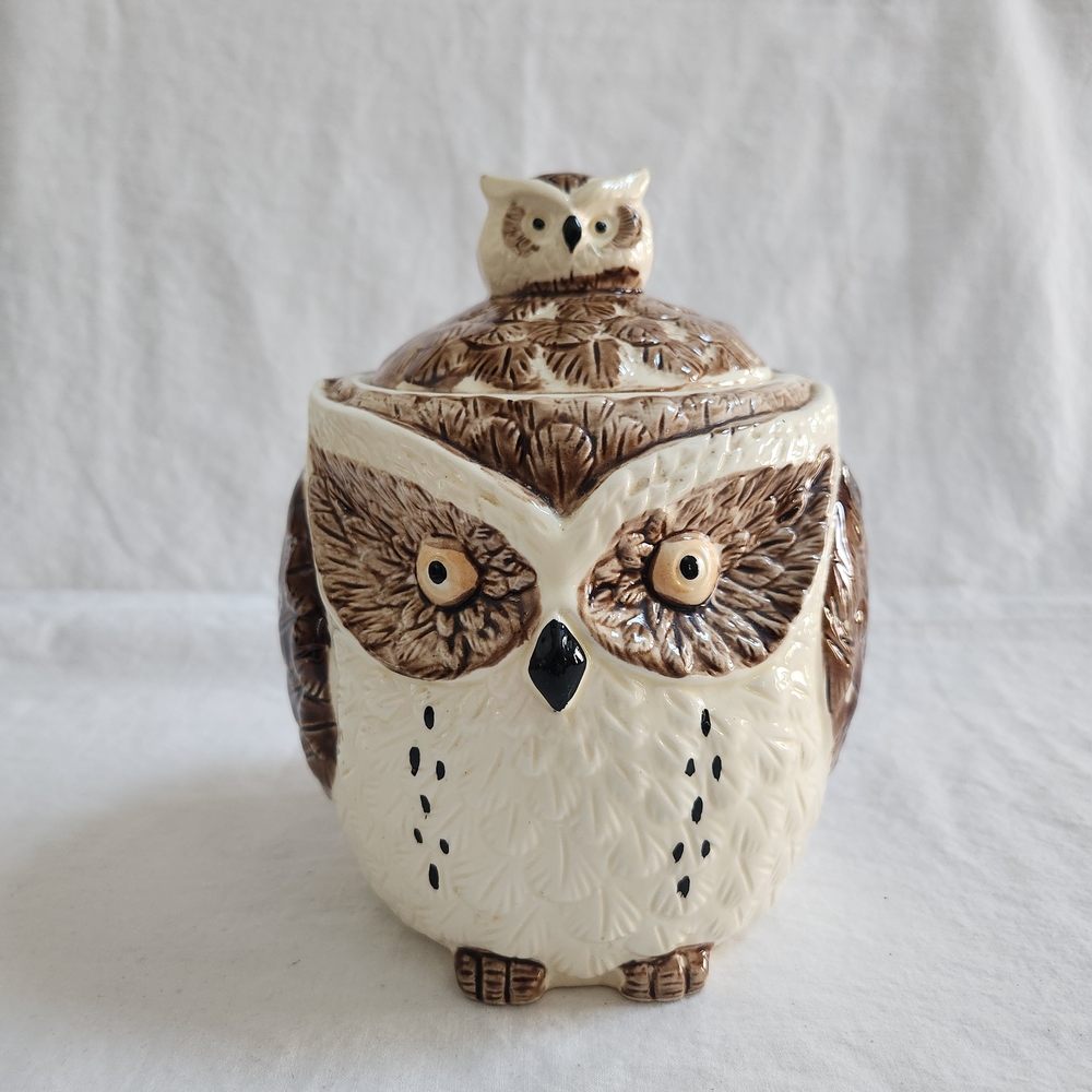 Vintage Enesco Owl & Owlet Cookie Jar